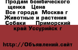 Продам бомбического щенка › Цена ­ 30 000 - Все города, Москва г. Животные и растения » Собаки   . Приморский край,Уссурийск г.